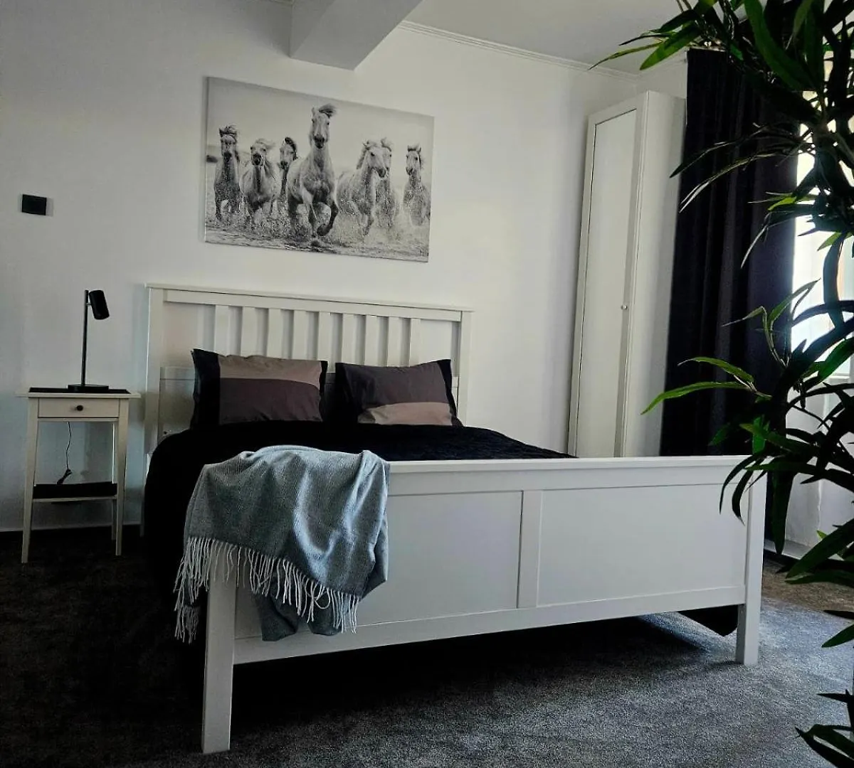 Home Studio Cismigiu Boekarest